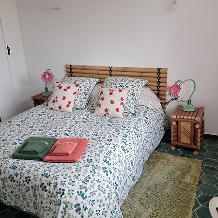 Apartament Gentil Coquelicot Mirepoix  Zewnętrze zdjęcie