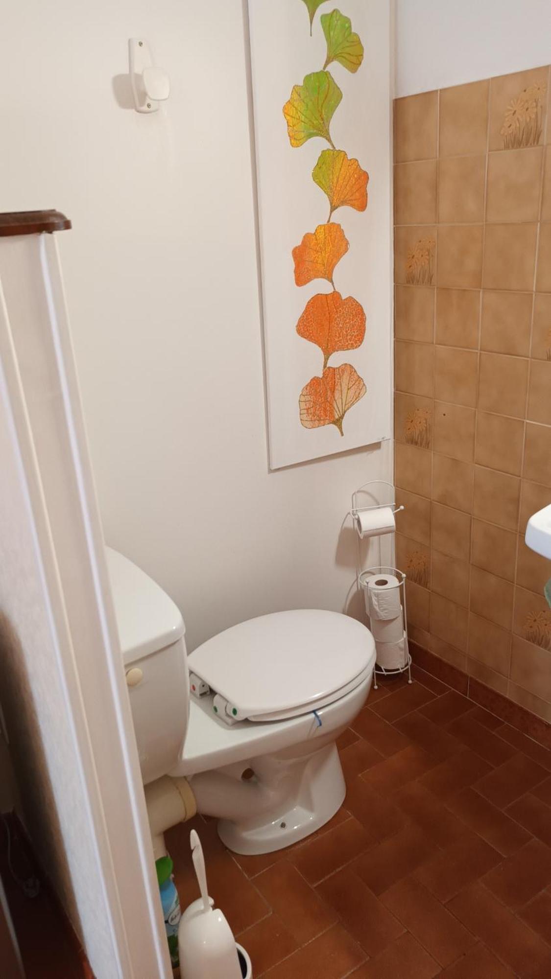 Apartament Gentil Coquelicot Mirepoix  Zewnętrze zdjęcie